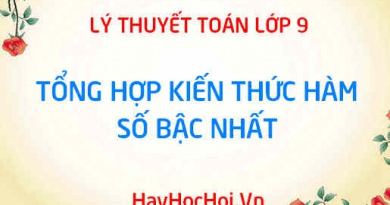 Tổng hợp kiến thức lý thuyết hàm số bậc nhất y = ax + b Toán 9 chương 2 tập 1